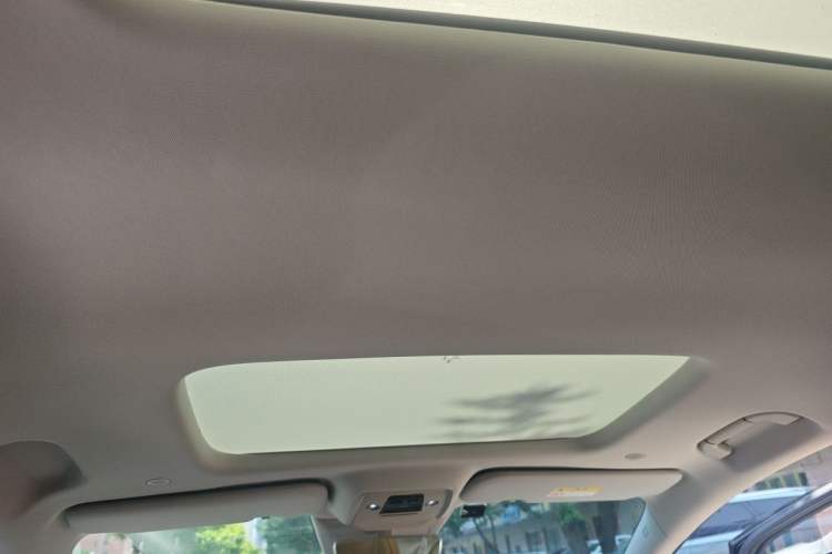 Used Denza D9 2022 DM-i 1040 Prestige Model Headliner