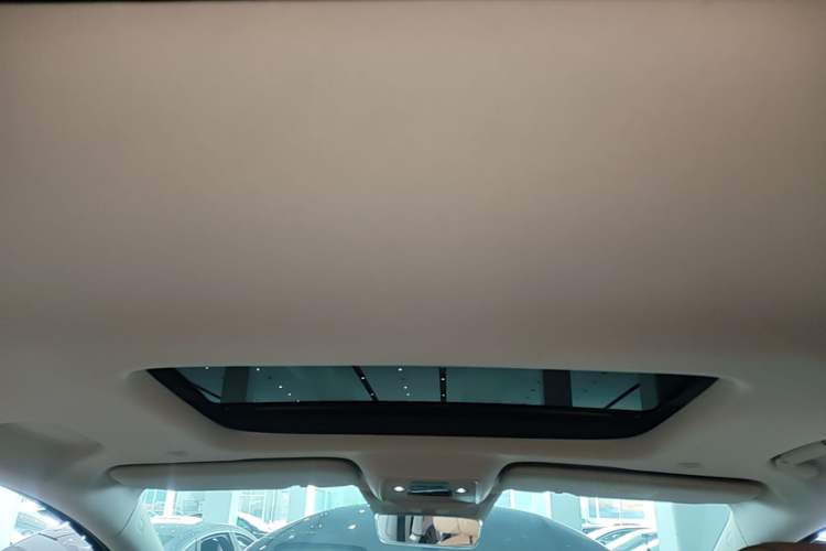 Used Denza D9 2022 DM-i 970 Four-Wheel Drive Prestige Model Headliner