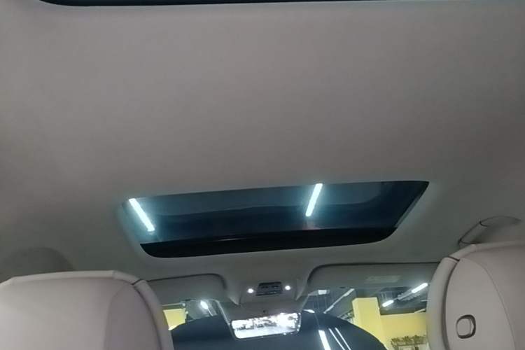 Used Denza D9 2022 DM-i 970 Four-Wheel Drive Flagship Model Headliner