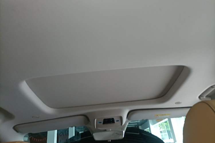 Used Denza D9 2022 DM-i 1040 Prestige Model Headliner