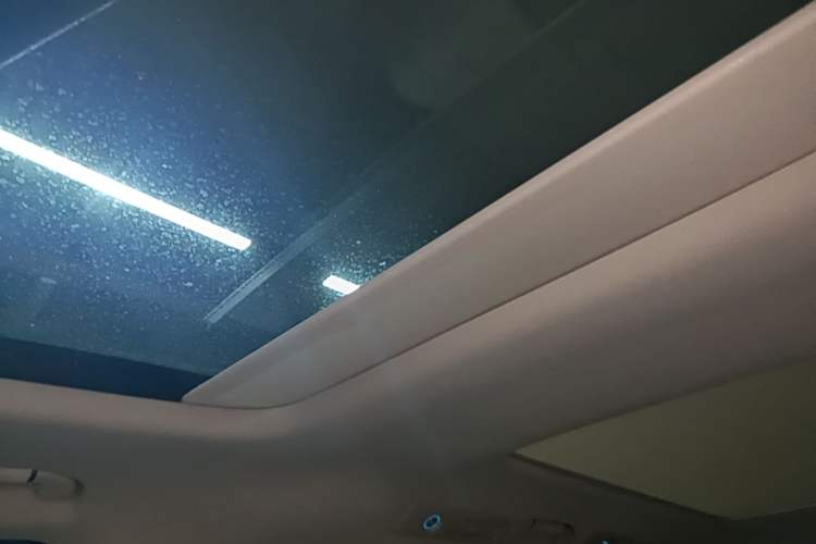 Used Denza D9 2022 DM-i 970 Four-Wheel Drive Prestige Model Headliner