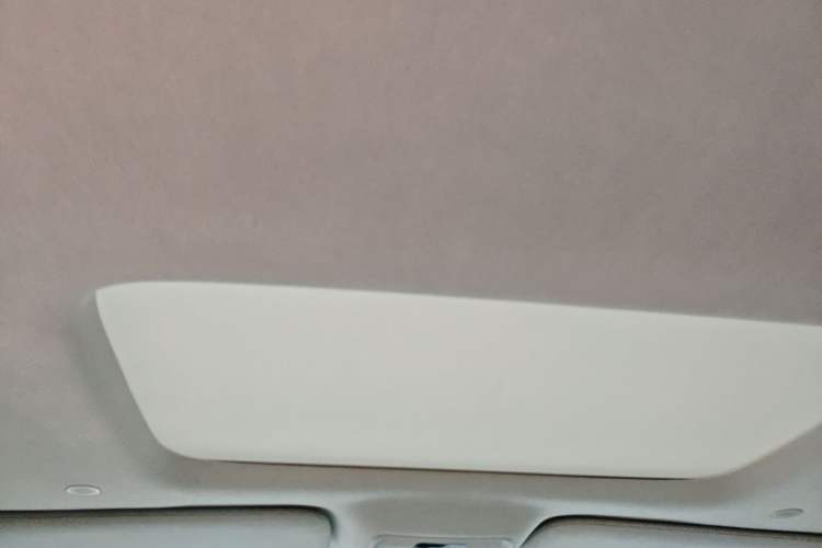 Used Denza D9 2022 DM-i 970 Four-Wheel Drive Flagship Model Headliner