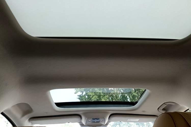 Used Denza D9 2022 DM-i 970 Four-Wheel Drive Prestige Model Headliner