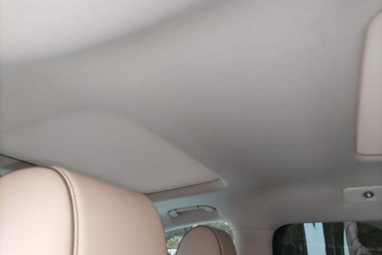 Used Denza D9 2022 DM-i 945 Luxury Model Headliner