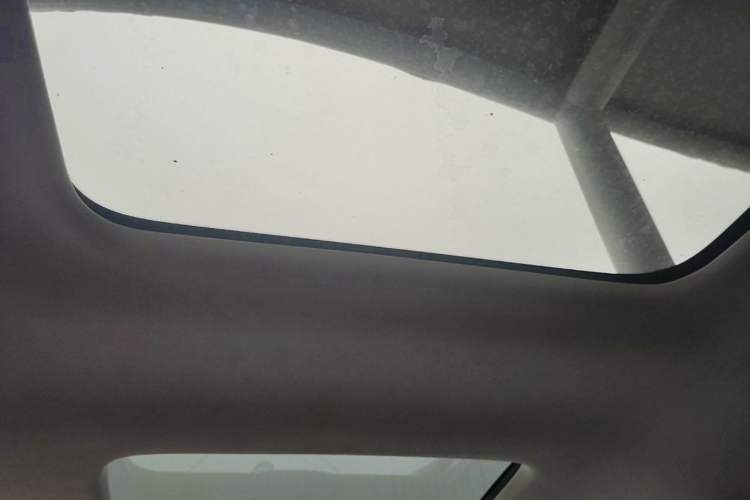Used Denza D9 2022 DM-i 970 Four-Wheel Drive Flagship Model Headliner