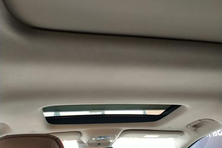 Used Denza D9 2022 DM-i 970 Four-Wheel Drive Flagship Model Headliner