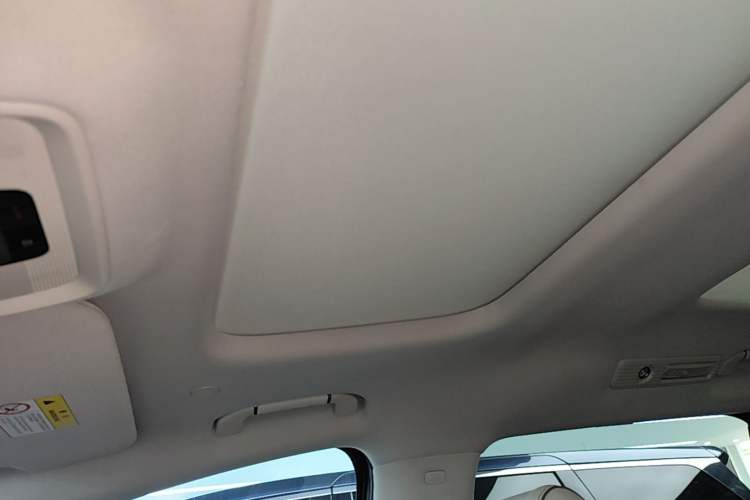 Used Denza D9 2022 DM-i 1040 Prestige Model Headliner