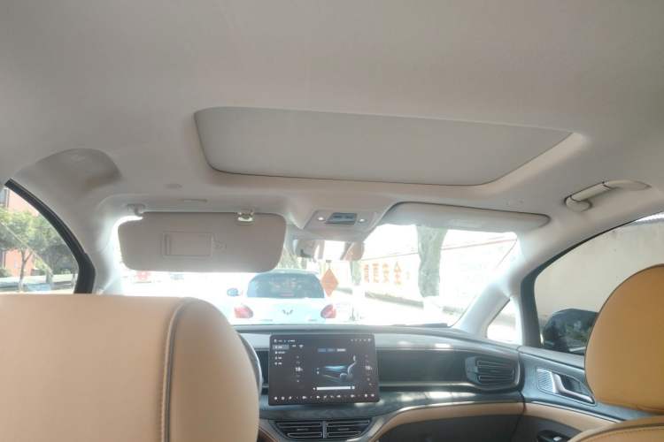 Used Denza D9 2022 DM-i 945 Luxury Model Headliner