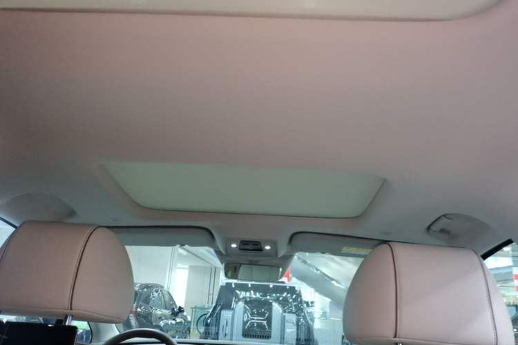 Used Denza D9 2022 DM-i 970 Four-Wheel Drive Prestige Model Headliner