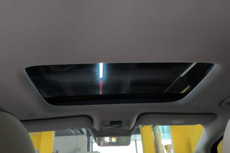Used Denza D9 2022 DM-i 970 Four-Wheel Drive Prestige Model Headliner