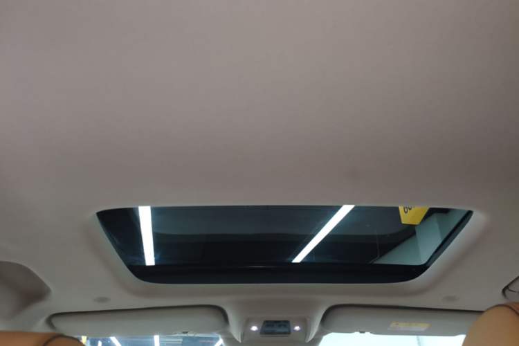 Used Denza D9 2022 DM-i 1040 Prestige Model Headliner