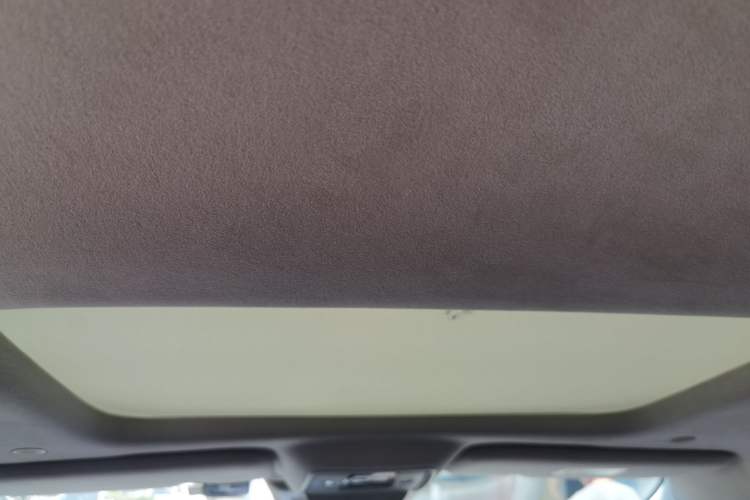 Used Denza D9 2022 DM-i 970 Four-Wheel Drive Flagship Model Headliner