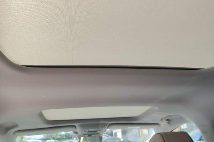 Used Denza D9 2022 DM-i 1040 Prestige Model Headliner