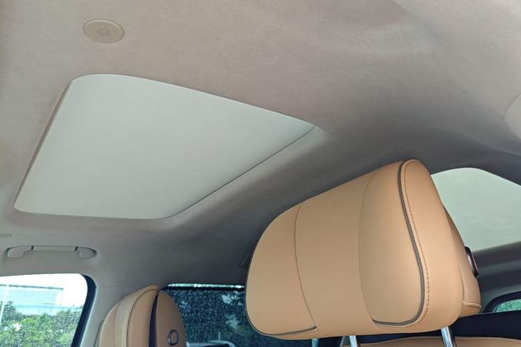Used Denza D9 2022 DM-i 970 Four-Wheel Drive Flagship Model Headliner