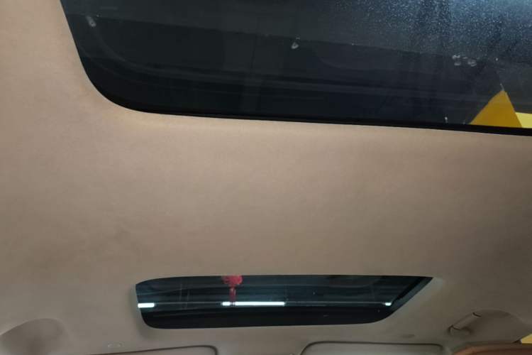 Used Denza D9 2022 DM-i 970 Four-Wheel Drive Flagship Model Headliner