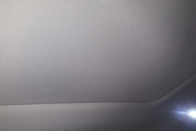 Used Denza D9 2022 DM-i 970 Four-Wheel Drive Prestige Model Headliner