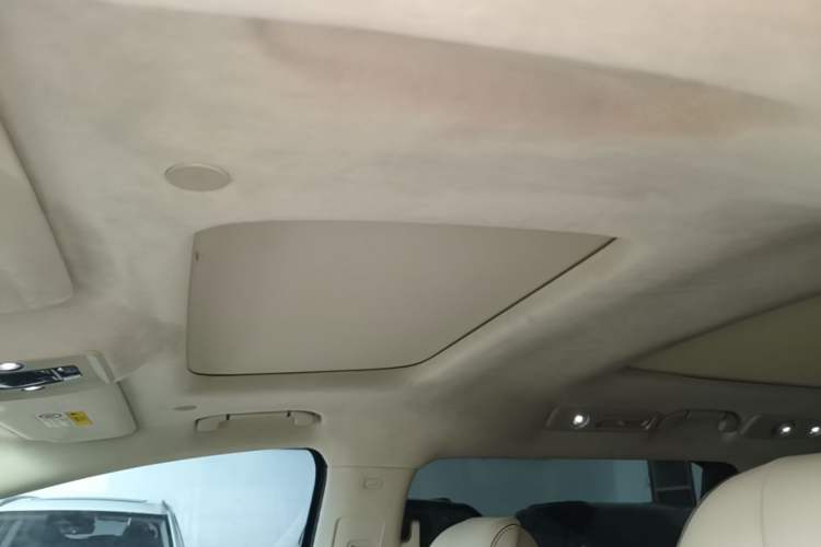 Used Denza D9 2022 DM-i 970 Four-Wheel Drive Flagship Model Headliner