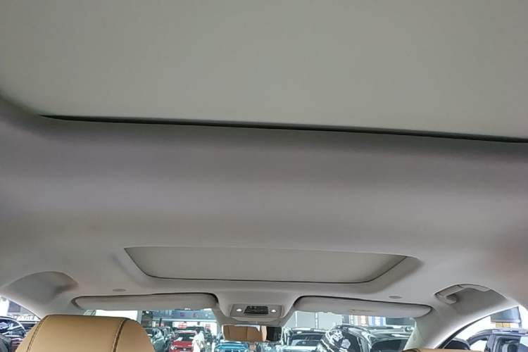 Used Denza D9 2022 DM-i 1040 Prestige Model Headliner