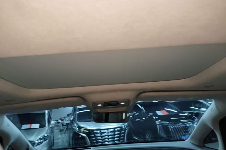 Used Denza D9 2022 DM-i 970 Four-Wheel Drive Flagship Model Headliner