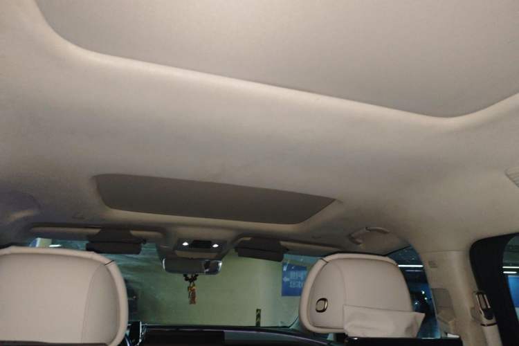 Used Denza D9 2022 DM-i 970 Four-Wheel Drive Flagship Model Headliner