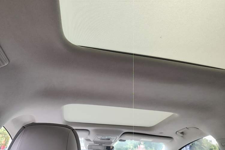 Used Denza D9 2022 DM-i 970 Four-Wheel Drive Flagship Model Headliner