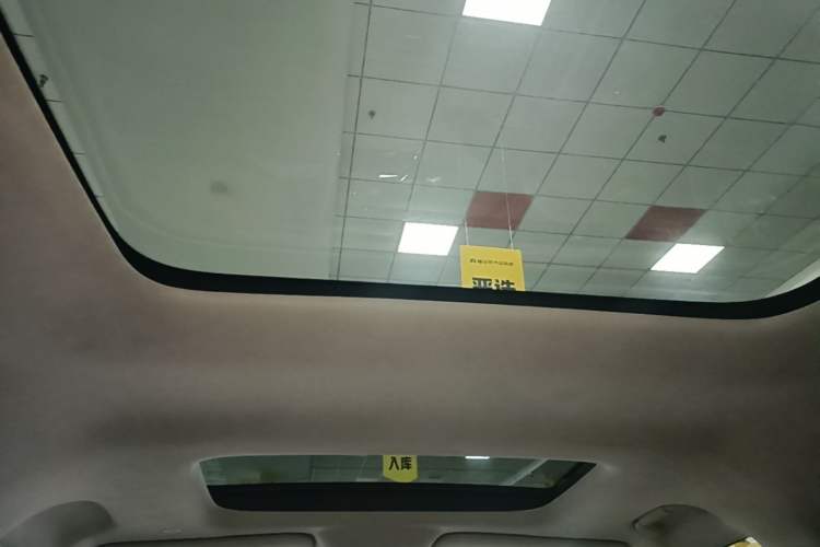 Used Denza D9 2022 DM-i 970 Four-Wheel Drive Flagship Model Headliner