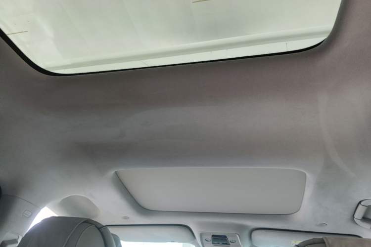 Used Denza D9 2022 DM-i 970 Four-Wheel Drive Flagship Model Headliner
