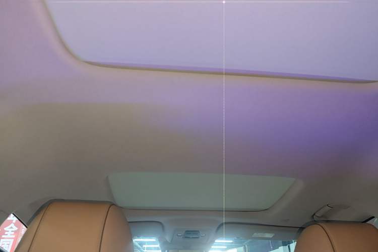 Used Denza D9 2022 DM-i 970 Four-Wheel Drive Prestige Model Headliner