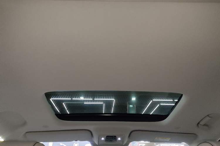 Used Denza D9 2022 DM-i 1040 Prestige Model Headliner