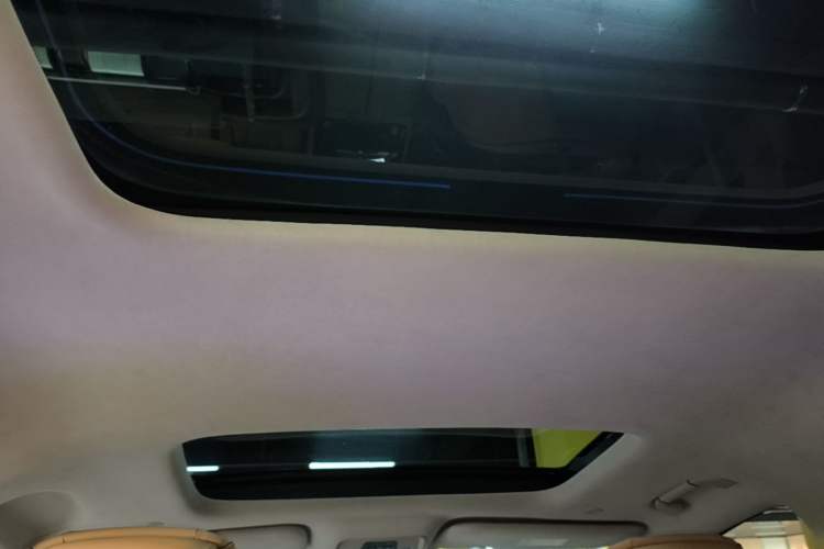 Used Denza D9 2022 DM-i 970 Four-Wheel Drive Flagship Model Headliner