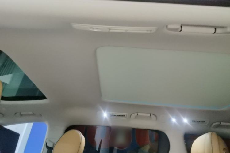 Used Denza D9 2022 DM-i 970 Four-Wheel Drive Prestige Model Headliner