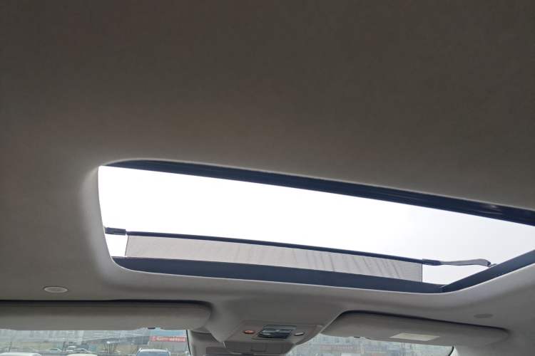Used Denza D9 2022 DM-i 970 Four-Wheel Drive Flagship Model Headliner