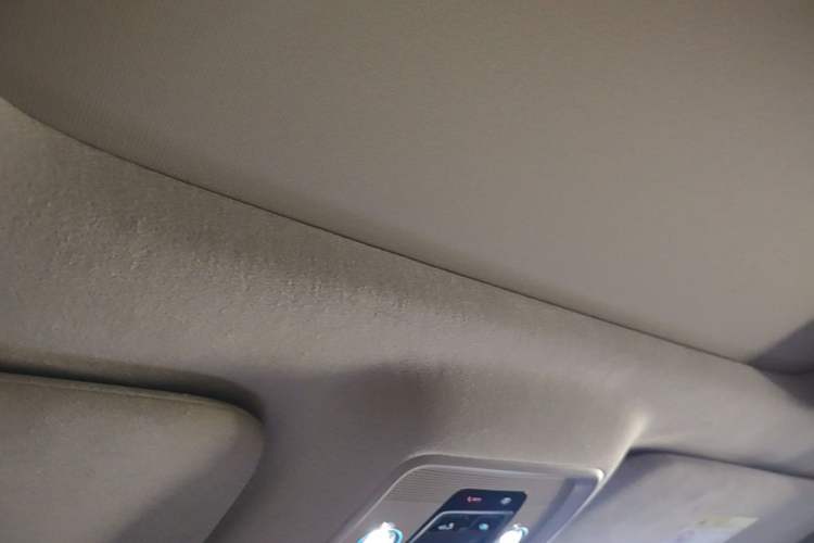 Used Denza D9 2022 EV 600 Four-Wheel Drive Flagship Model Headliner