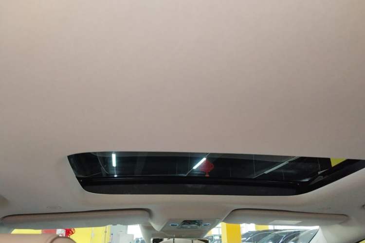 Used Denza D9 2022 DM-i 970 Four-Wheel Drive Prestige Model Headliner