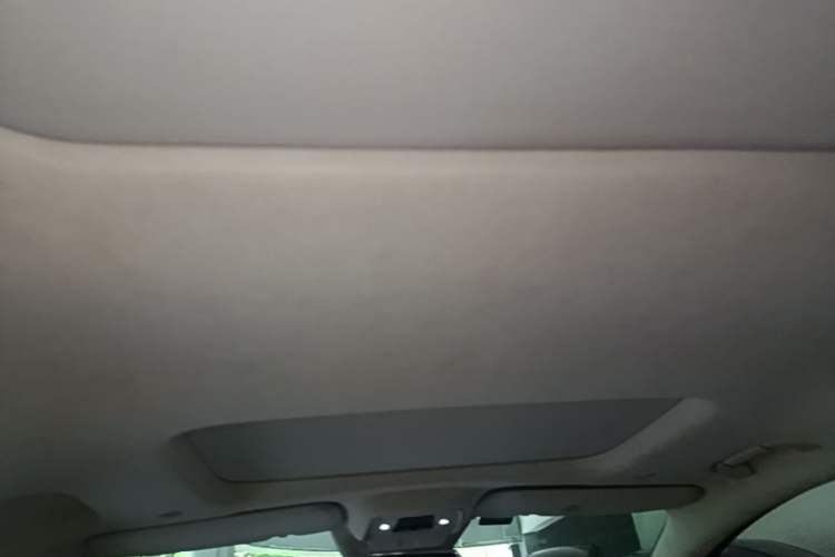 Used Denza D9 2022 EV 600 Four-Wheel Drive Flagship Model Headliner