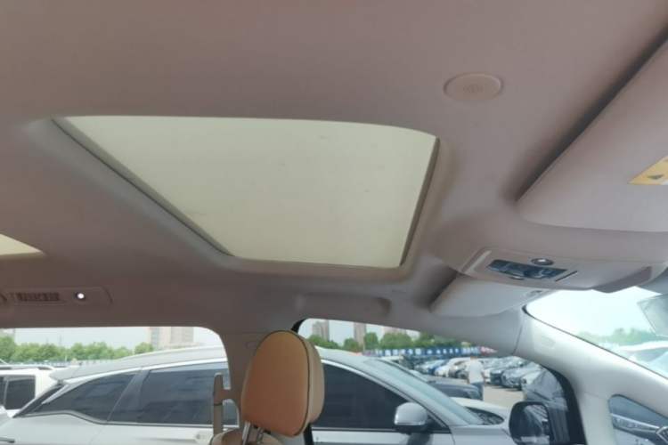Used Denza D9 2022 DM-i 1040 Prestige Model Headliner