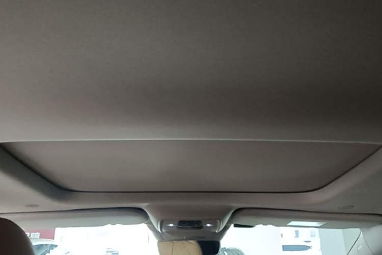 Used Denza D9 2022 DM-i 970 Four-Wheel Drive Prestige Model Headliner