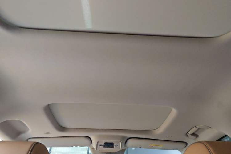 Used Denza D9 2022 DM-i 1040 Prestige Model Headliner