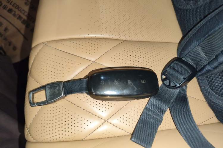Used Denza D9 2022 DM-i 970 Four-Wheel Drive Prestige Model Interior 1