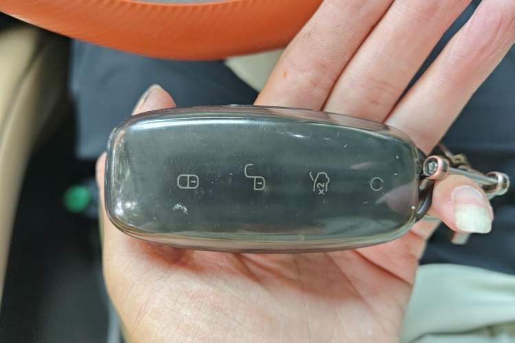 Used Denza D9 2022 DM-i 1040 Prestige Model Interior 1