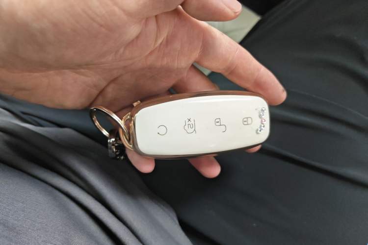 Used Denza D9 2022 DM-i 1040 Prestige Model Interior 1
