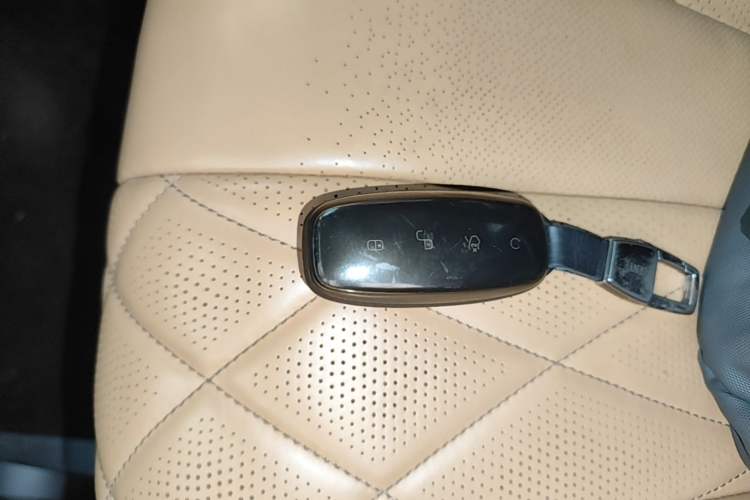Used Denza D9 2022 DM-i 970 Four-Wheel Drive Prestige Model Interior 1