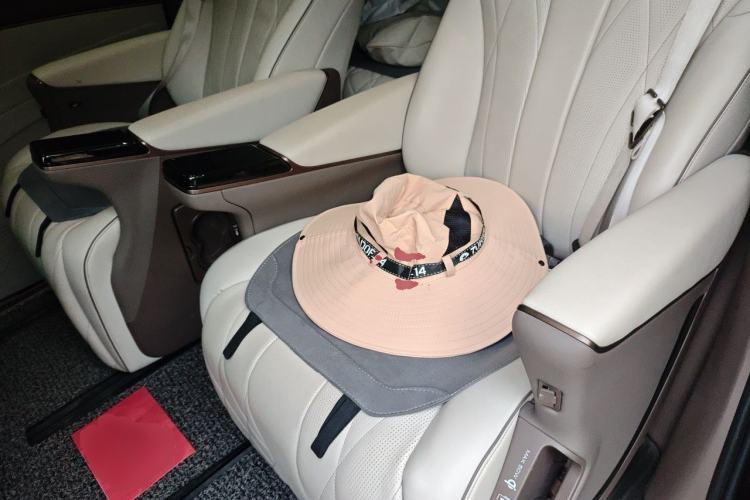 Used Denza D9 2022 DM-i 970 Four-Wheel Drive Flagship Model Left Rear Seat