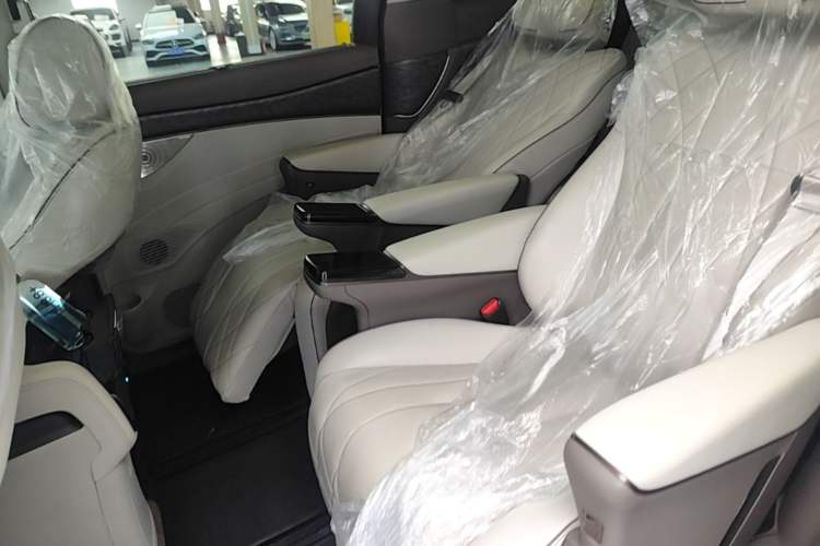 Used Denza D9 2022 DM-i 1040 Prestige Model Left Rear Seat