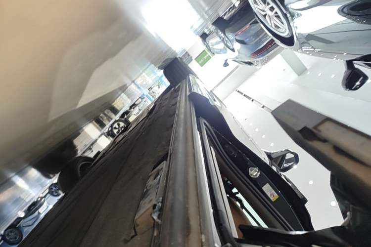 Used Denza D9 2022 DM-i 970 Four-Wheel Drive Prestige Model Left Side Sill