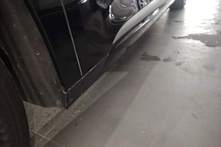Used Denza D9 2022 DM-i 970 Four-Wheel Drive Flagship Model Left Side Sill