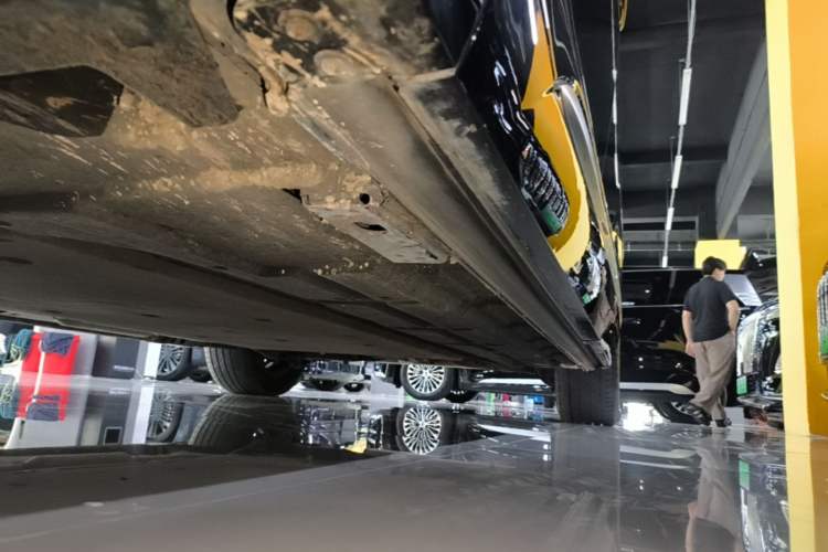 Used Denza D9 2022 DM-i 970 Four-Wheel Drive Flagship Model Left Side Sill