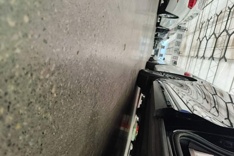 Used Denza D9 2022 DM-i 970 Four-Wheel Drive Prestige Model Left Side Sill