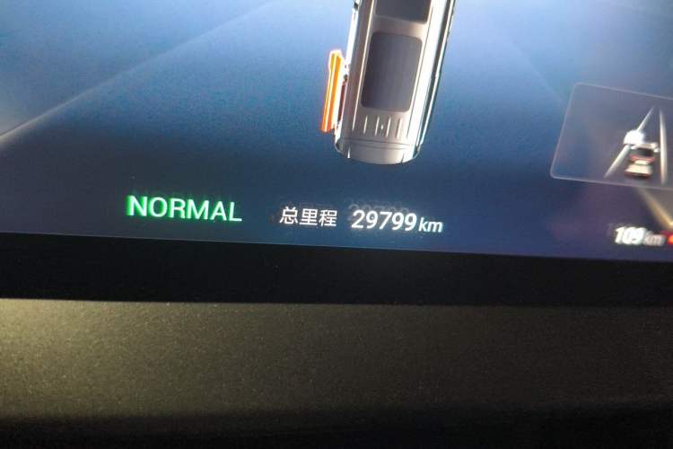 Used Denza D9 2022 DM-i 1040 Prestige Model Odometer Close Up