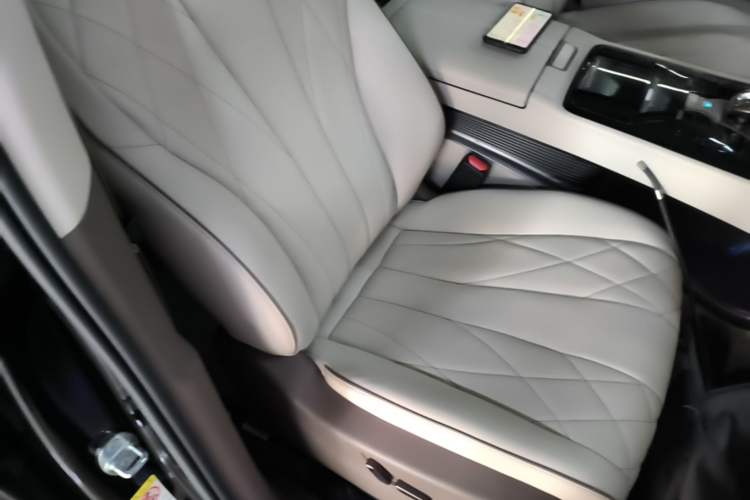 Used Denza D9 2022 DM-i 970 Four-Wheel Drive Prestige Model Right Front Seat